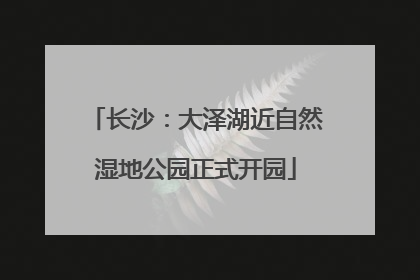 长沙：大泽湖近自然湿地公园正式开园