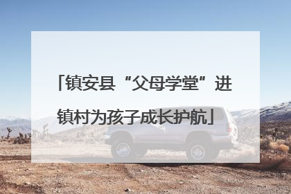 镇安县“父母学堂”进镇村为孩子成长护航