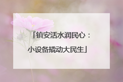 镇安活水润民心：小设备撬动大民生