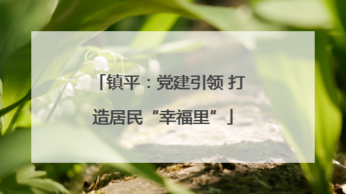 镇平：党建引领 打造居民“幸福里”