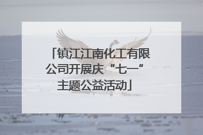 镇江江南化工有限公司开展庆“七一”主题公益活动