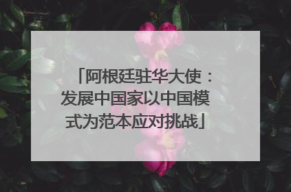 阿根廷驻华大使：发展中国家以中国模式为范本应对挑战