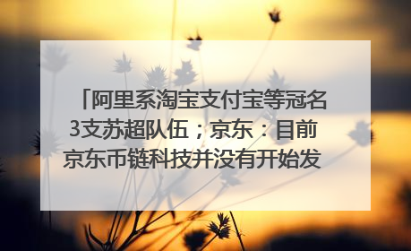 阿里系淘宝支付宝等冠名3支苏超队伍；京东：目前京东币链科技并没有开始发行稳定币｜早资道