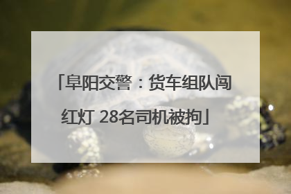 阜阳交警：货车组队闯红灯 28名司机被拘