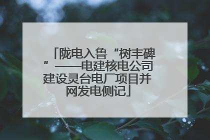 陇电入鲁“树丰碑”——电建核电公司建设灵台电厂项目并网发电侧记