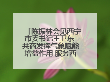 陈振林会见西宁市委书记王卫东 共商发挥气象赋能增益作用 服务西宁经济社会高质量发展