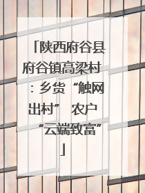陕西府谷县府谷镇高梁村：乡货“触网出村” 农户“云端致富”