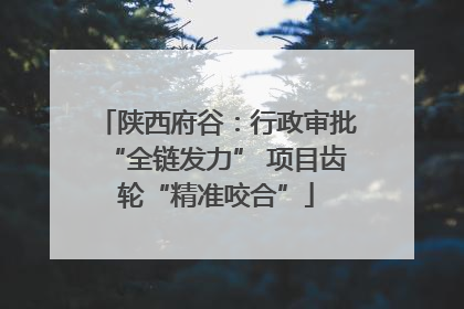 陕西府谷：行政审批“全链发力” 项目齿轮“精准咬合”