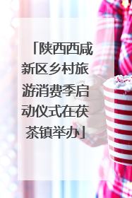 陕西西咸新区乡村旅游消费季启动仪式在茯茶镇举办