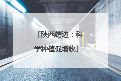 陕西靖边：科学种植促增收