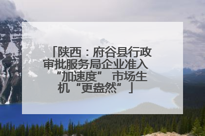 陕西：府谷县行政审批服务局企业准入“加速度” 市场生机“更盎然”