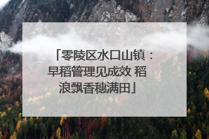 零陵区水口山镇：早稻管理见成效 稻浪飘香穗满田