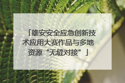 雄安安全应急创新技术应用大赛作品与多地资源“无缝对接”