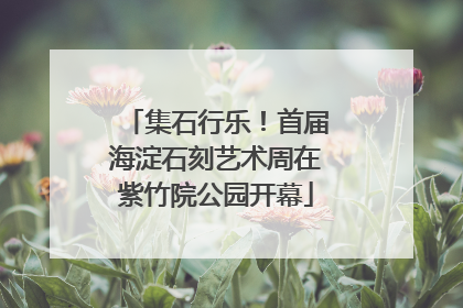 集石行乐！首届海淀石刻艺术周在紫竹院公园开幕