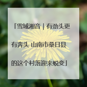 雪域湘音｜有劲头更有奔头 山南市桑日县的这个村落迎来蜕变