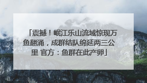 震撼！岷江乐山流域惊现万鱼翻涌，成群结队绵延两三公里 官方：鱼群在此产卵