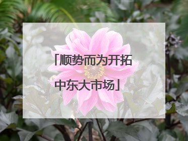 顺势而为开拓中东大市场