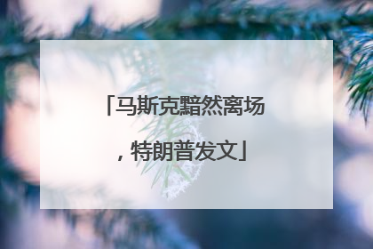 马斯克黯然离场，特朗普发文