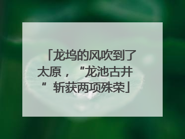 龙坞的风吹到了太原，“龙池古井”斩获两项殊荣