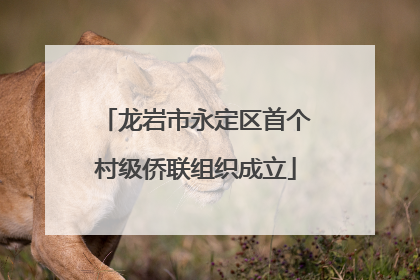 龙岩市永定区首个村级侨联组织成立