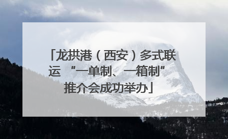 龙拱港（西安）多式联运 “一单制、一箱制” 推介会成功举办
