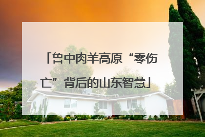 鲁中肉羊高原“零伤亡”背后的山东智慧