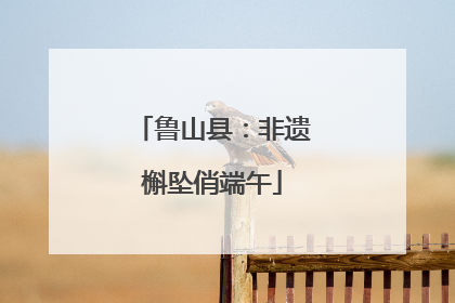 鲁山县：非遗槲坠俏端午