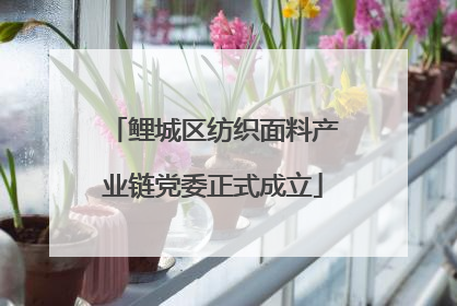 鲤城区纺织面料产业链党委正式成立