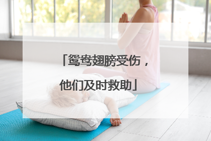 鸳鸯翅膀受伤，他们及时救助