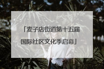 麦子店街道第十五届国际社区文化季启幕