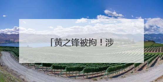 黄之锋被拘！涉勾结外国势力危害国安及洗黑钱