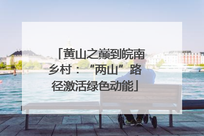 黄山之巅到皖南乡村：“两山”路径激活绿色动能