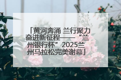 黄河奔涌 兰行聚力 奋进新征程——“兰州银行杯”2025兰州马拉松完美谢幕