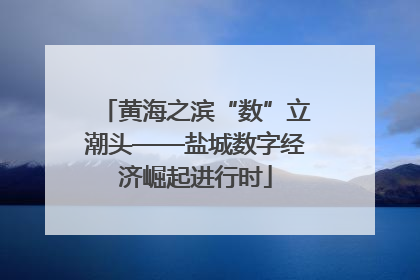 黄海之滨“数”立潮头——盐城数字经济崛起进行时