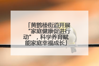 黄鹤楼街道开展“家庭健康促进行动”，科学养育赋能家庭幸福成长