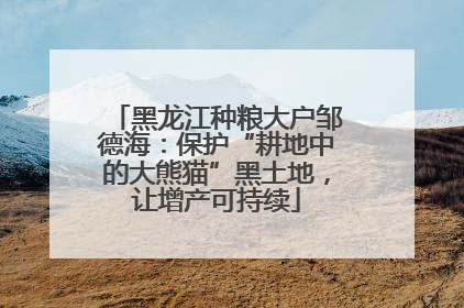 黑龙江种粮大户邹德海：保护“耕地中的大熊猫”黑土地，让增产可持续