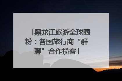黑龙江旅游全球圈粉：各国旅行商“群聊”合作揽客