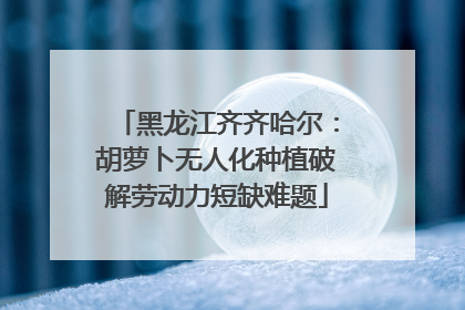 黑龙江齐齐哈尔：胡萝卜无人化种植破解劳动力短缺难题