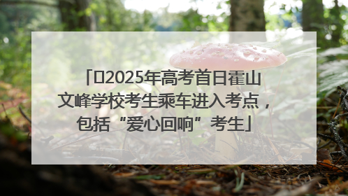 ﻿2025年高考首日霍山文峰学校考生乘车进入考点，包括“爱心回响”考生
