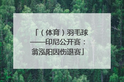 （体育）羽毛球——印尼公开赛：翁泓阳因伤退赛