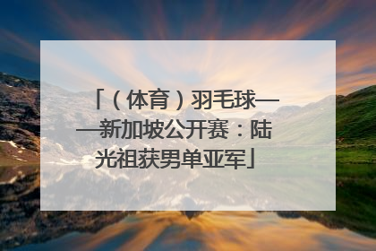 （体育）羽毛球——新加坡公开赛：陆光祖获男单亚军