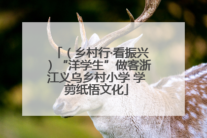 （乡村行·看振兴）“洋学生”做客浙江义乌乡村小学 学剪纸悟文化
