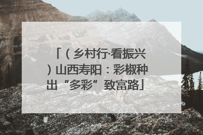 （乡村行·看振兴）山西寿阳：彩椒种出“多彩”致富路