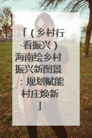 （乡村行·看振兴）海南绘乡村振兴新图景：规划赋能 村庄焕新
