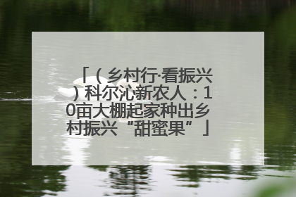 （乡村行·看振兴）科尔沁新农人：10亩大棚起家种出乡村振兴“甜蜜果”