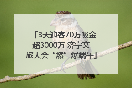 3天迎客70万吸金超3000万 济宁文旅大会“燃”爆端午