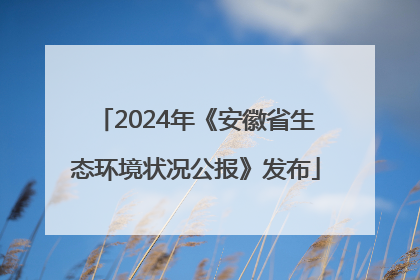 2024年《安徽省生态环境状况公报》发布