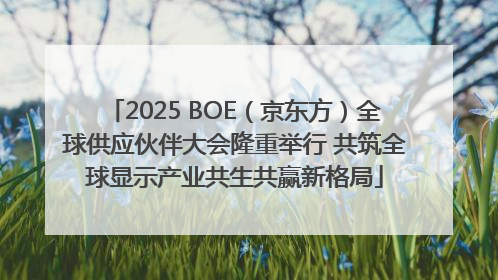 2025 BOE（京东方）全球供应伙伴大会隆重举行 共筑全球显示产业共生共赢新格局