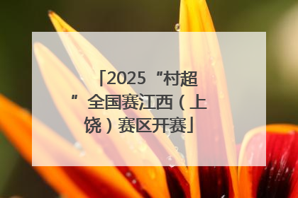 2025“村超”全国赛江西（上饶）赛区开赛