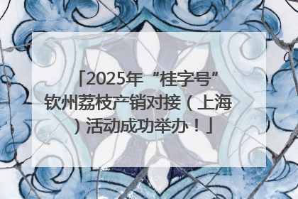 2025年“桂字号”钦州荔枝产销对接（上海）活动成功举办！